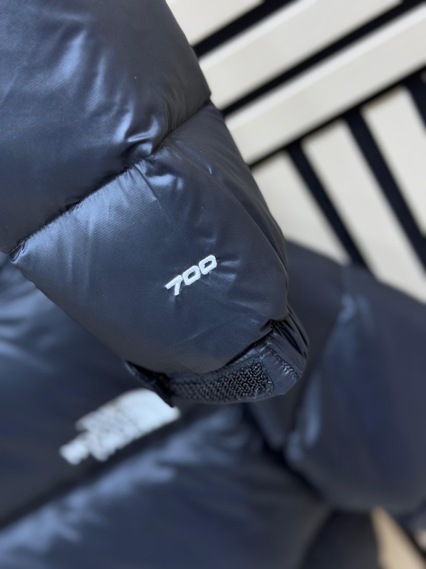 Chaqueta The North Face